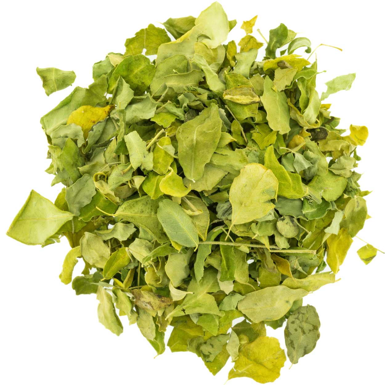 Moringa Leaves Organic