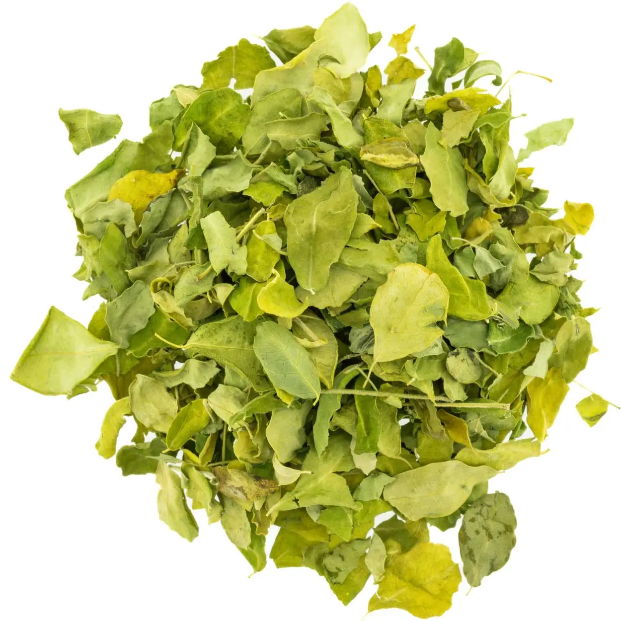 Moringa Leaves Organic