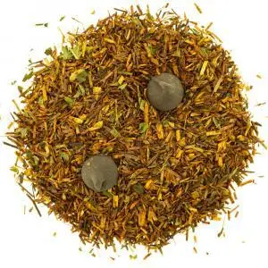 Rooibos Choco Mint