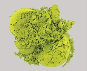 Daily Matcha