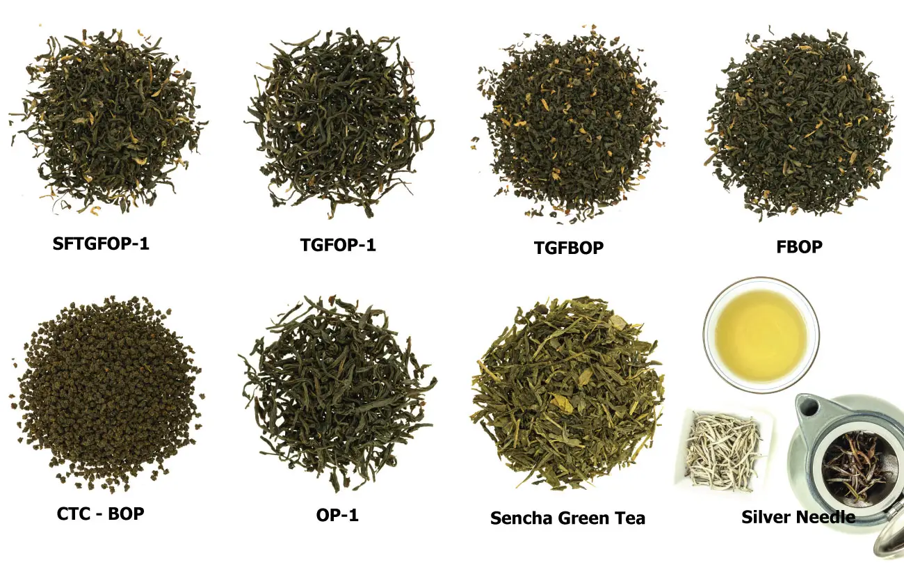 Tea Grades Examples